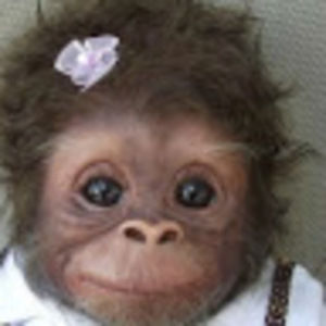 Meet your Posher, Bryanna